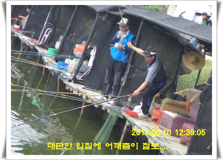 ٹ̱_DSC01474.JPG