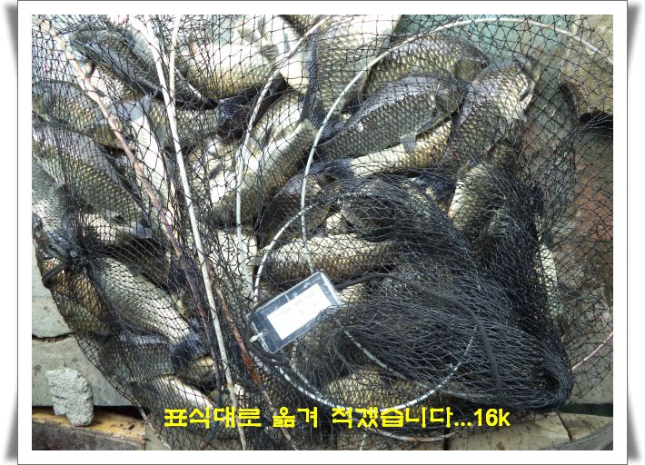 ٹ̱_DSC01477.JPG