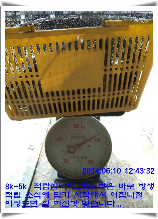 ٹ̱_DSC01479.JPG