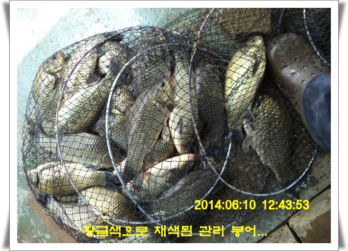 ٹ̱_DSC01480.JPG
