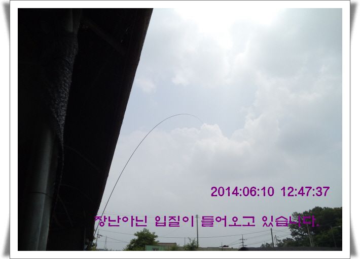 ٹ̱_DSC01481.JPG