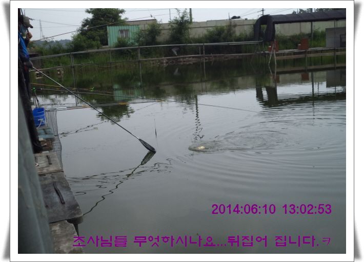 ٹ̱_DSC01484.JPG