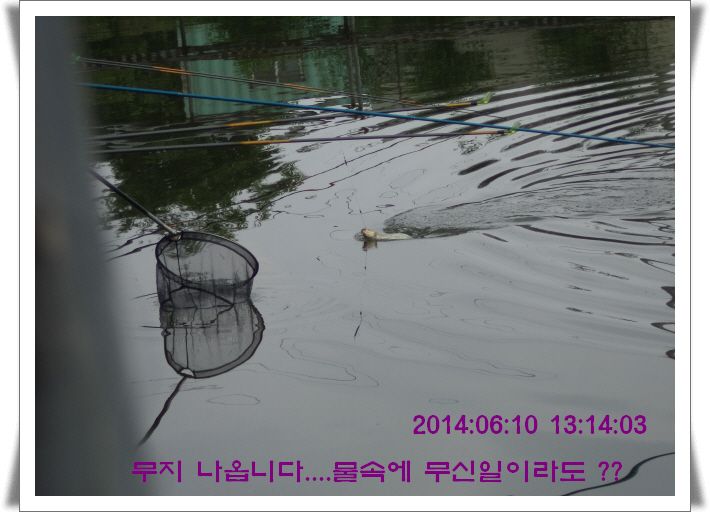 ٹ̱_DSC01485.JPG