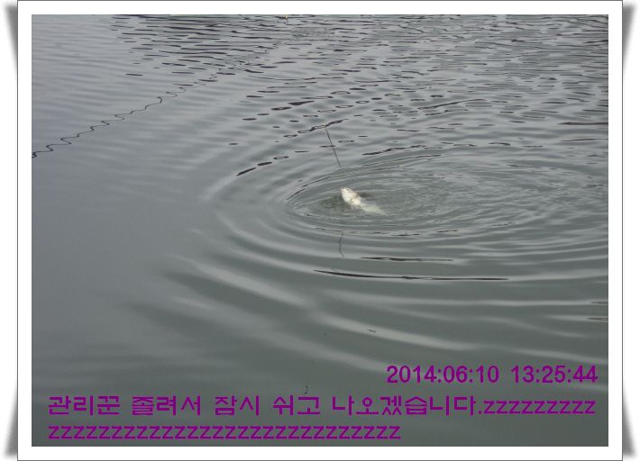 ٹ̱_DSC01486.JPG