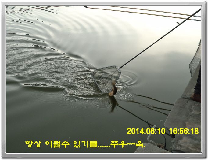 ٹ̱_DSC01488.JPG