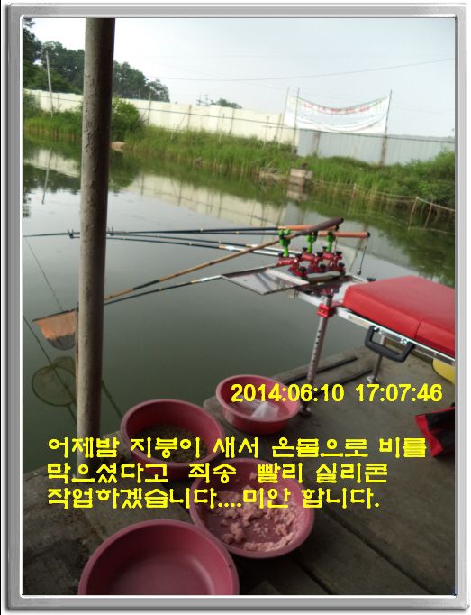 ٹ̱_DSC01489.JPG