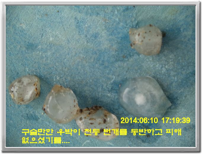 ٹ̱_DSC01490.JPG