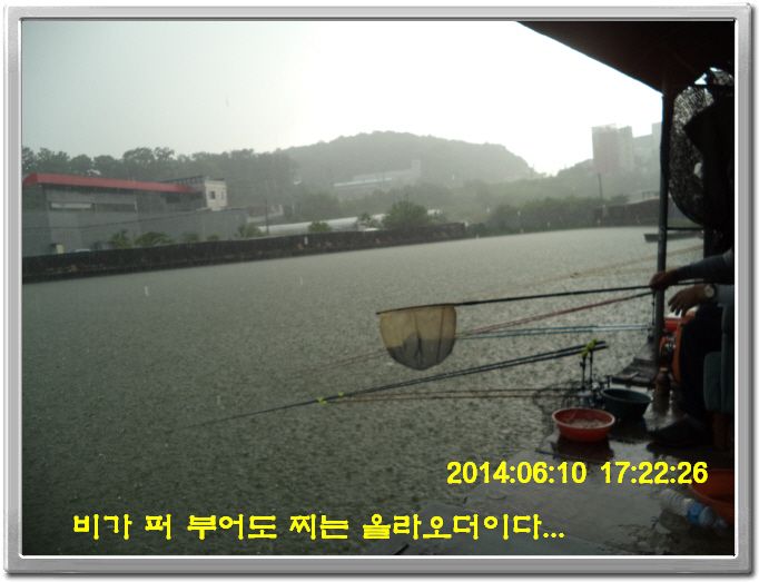 ٹ̱_DSC01491.JPG