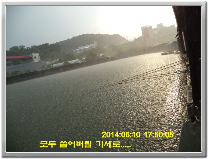 ٹ̱_DSC01496.JPG