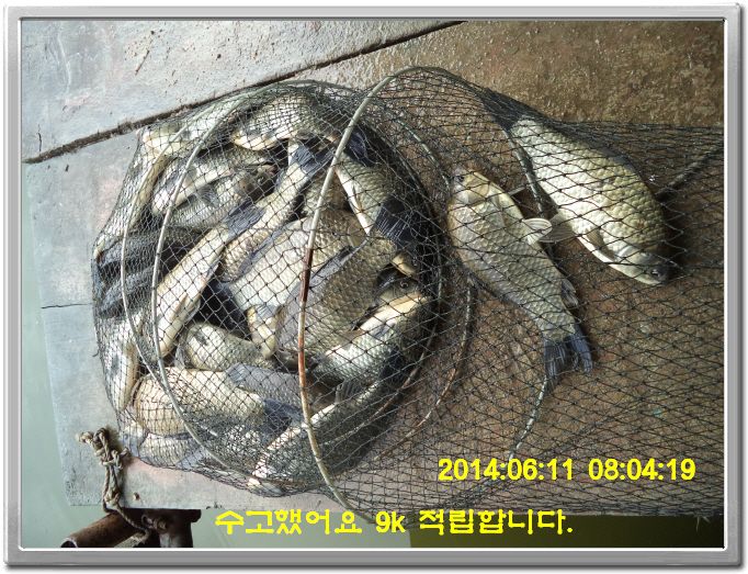 ٹ̱_DSC01502.JPG