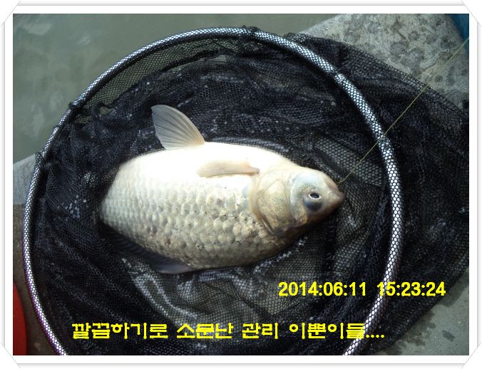 ٹ̱_DSC01506.JPG