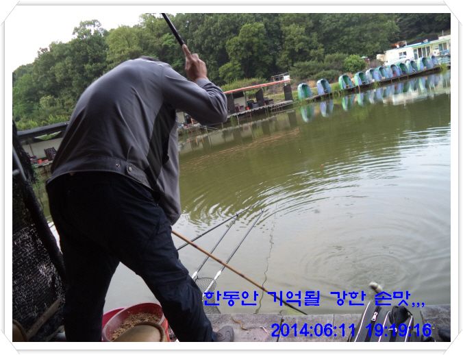 ٹ̱_DSC01510.JPG