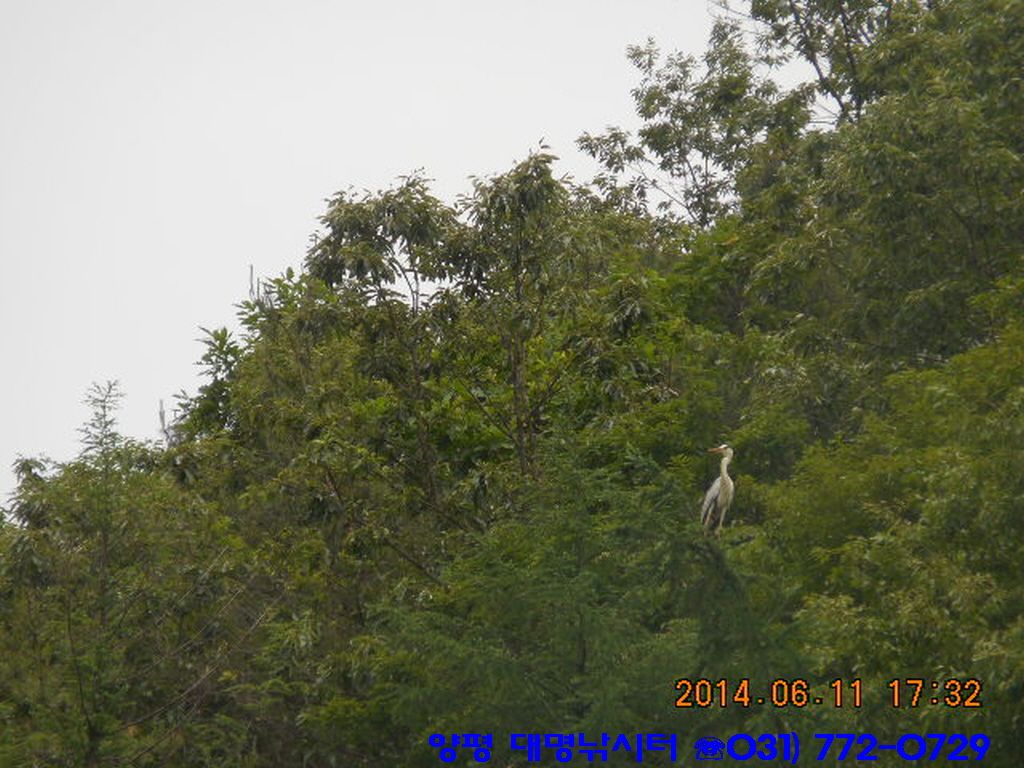 �ٹ̱�_DSCN2059.JPG