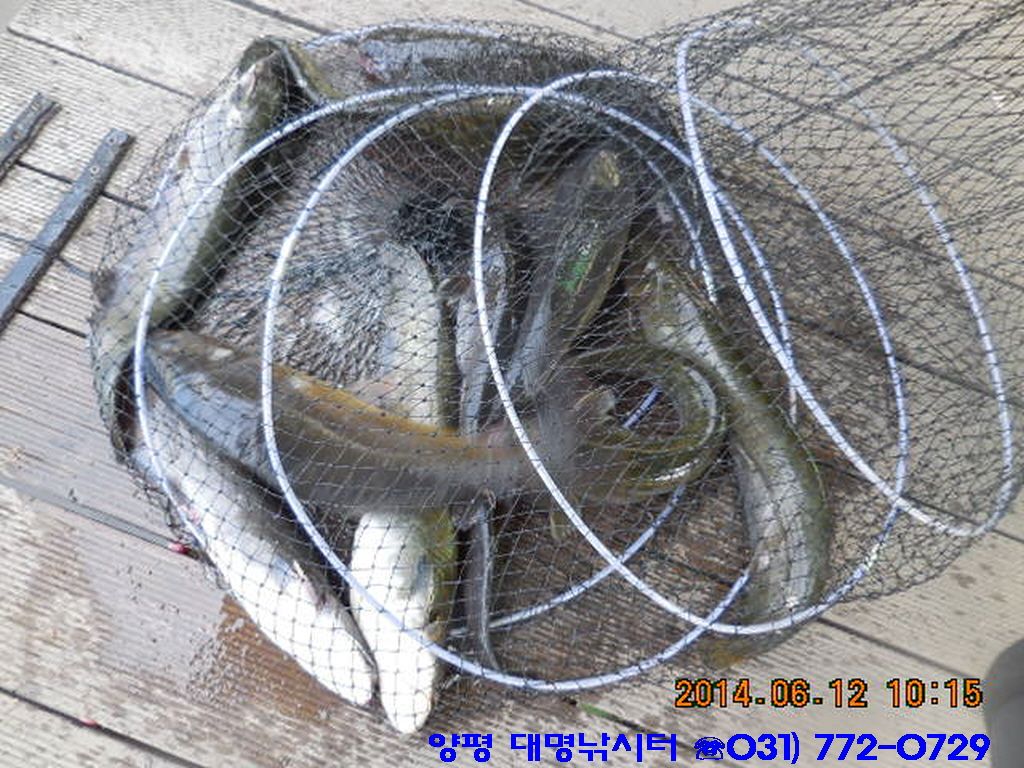�ٹ̱�_DSCN2072.JPG