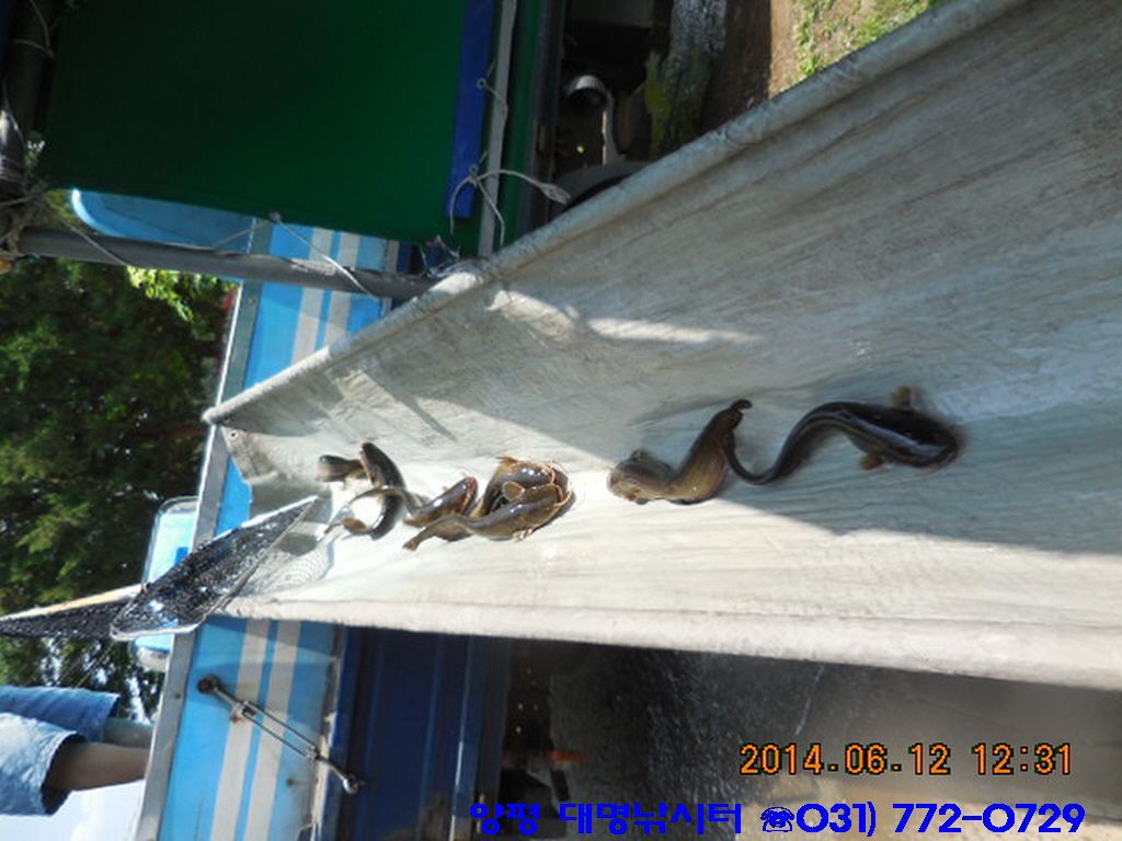 �ٹ̱�_DSCN2079.JPG