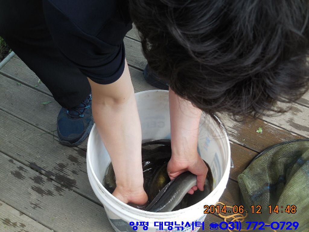�ٹ̱�_DSCN2098.JPG