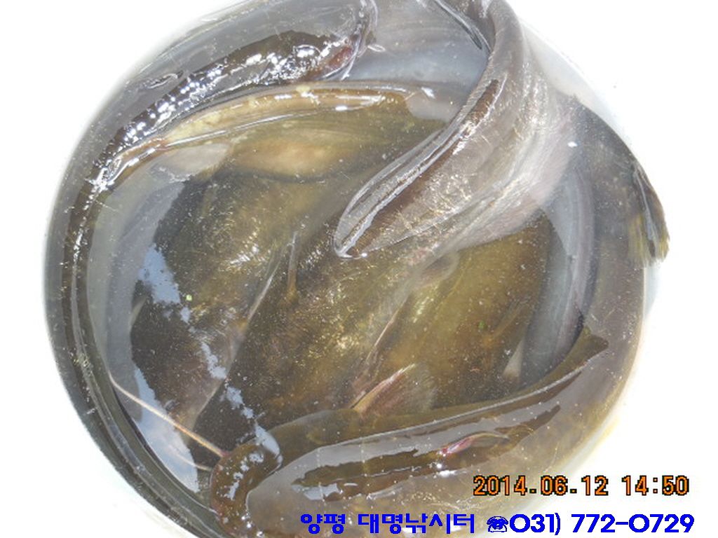 �ٹ̱�_DSCN2103.JPG