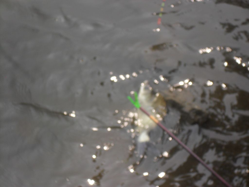  119.jpg