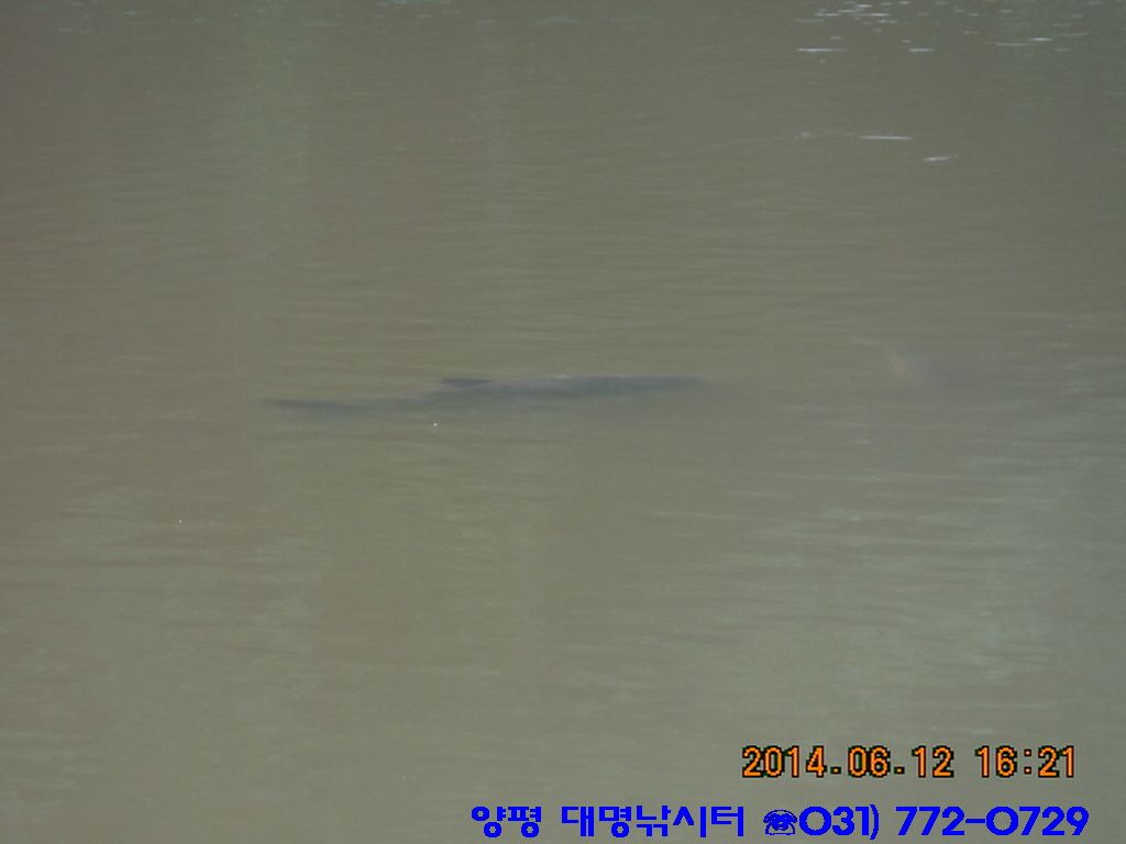 �ٹ̱�_DSCN2110.JPG