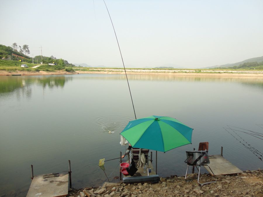 DSC01510.jpg