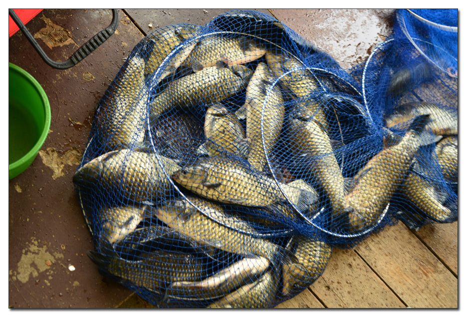 Untitled-1 copy 2.jpg