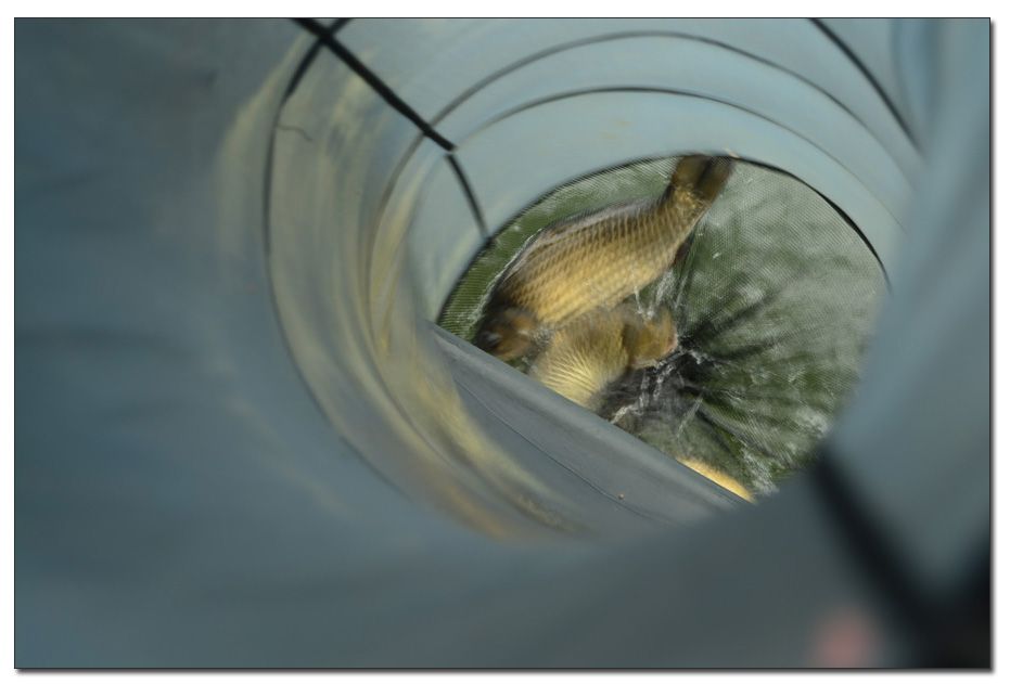 Untitled-1 copy 3.jpg