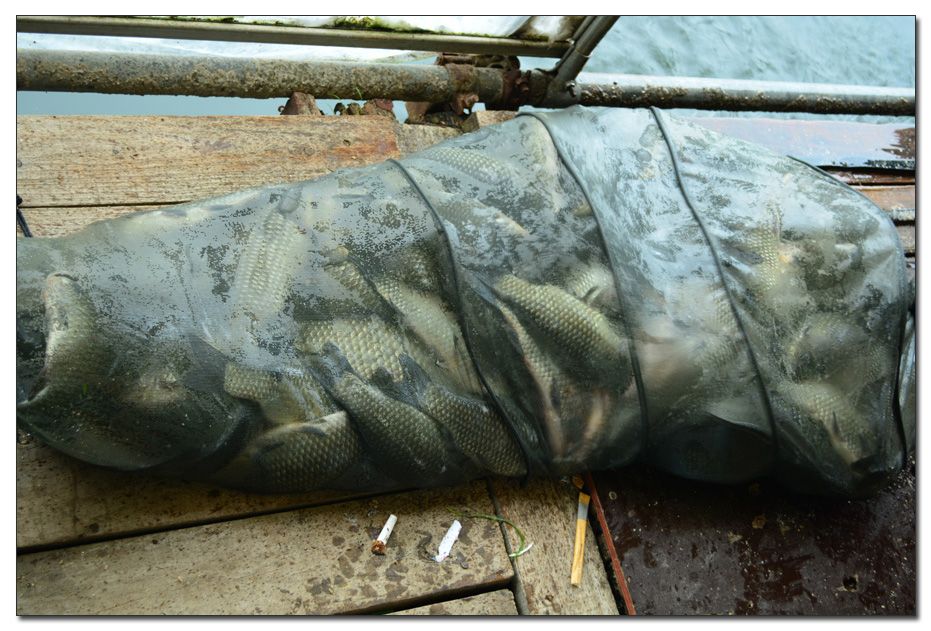 Untitled-1 copy 5.jpg