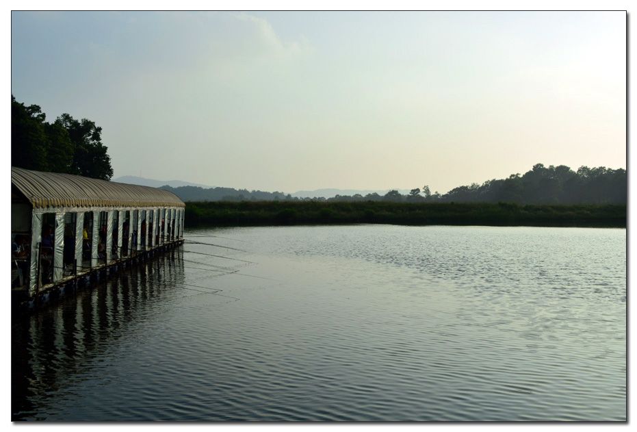 Untitled-1 copy 6.jpg