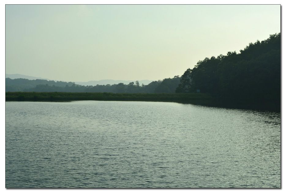 Untitled-1 copy 8.jpg