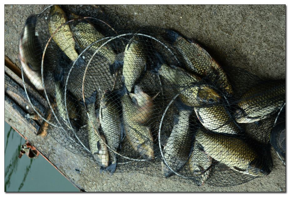 Untitled-1 copy 9.jpg