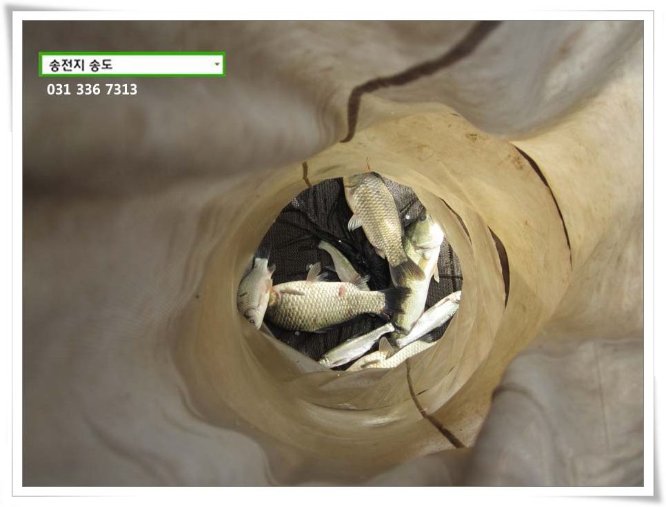 IMG_0001.JPG copy.jpg