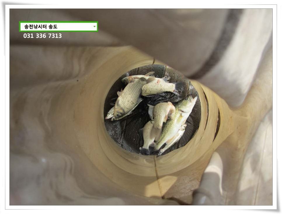 IMG_0002.JPG copy.jpg