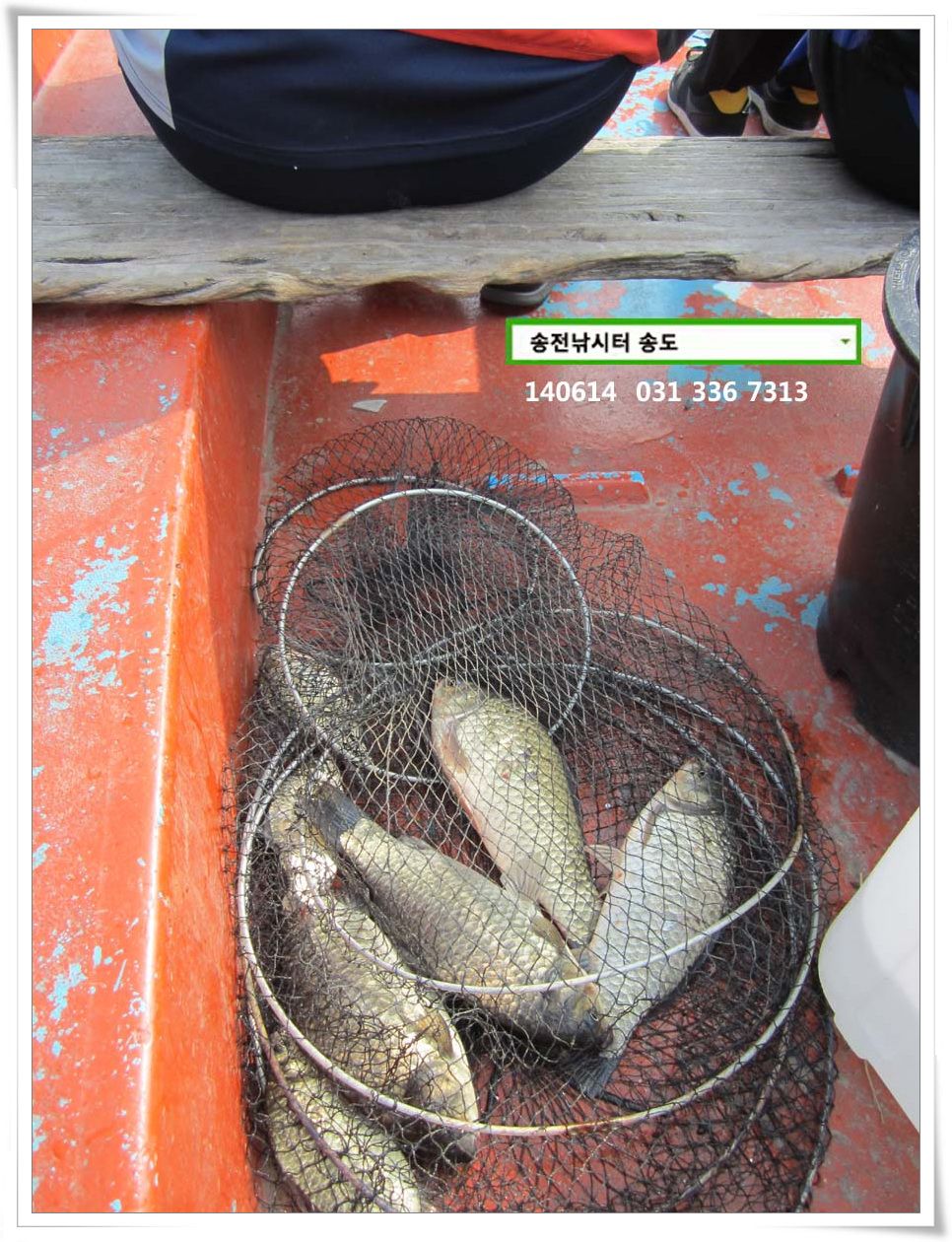 IMG_0009.JPG copy.jpg