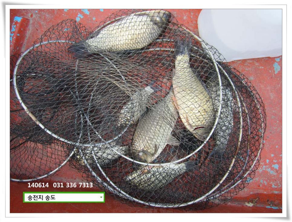 IMG_0007.JPG copy.jpg