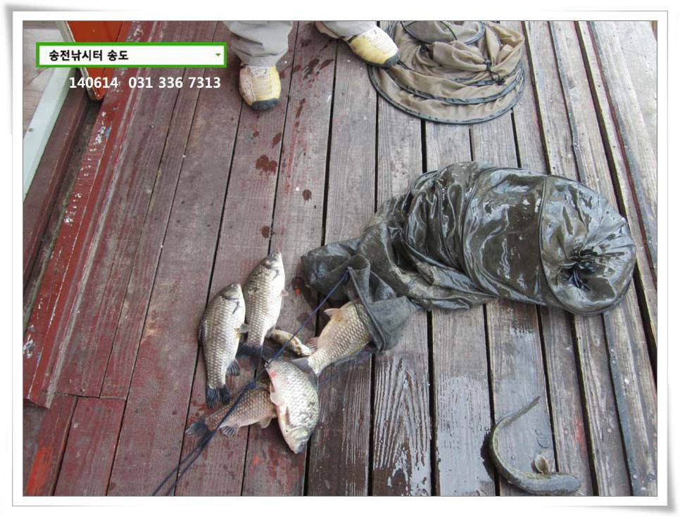 IMG_0013.JPG copy.jpg