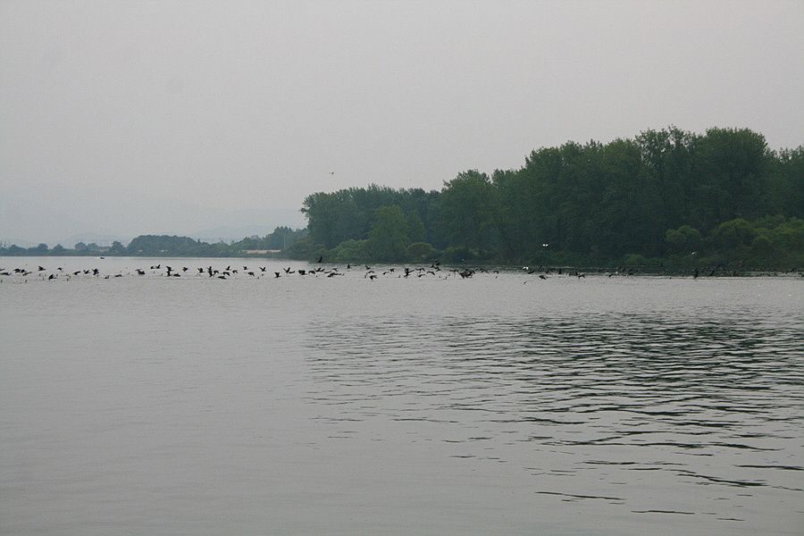 �ٹ̱�_��������ȸ 2544.jpg