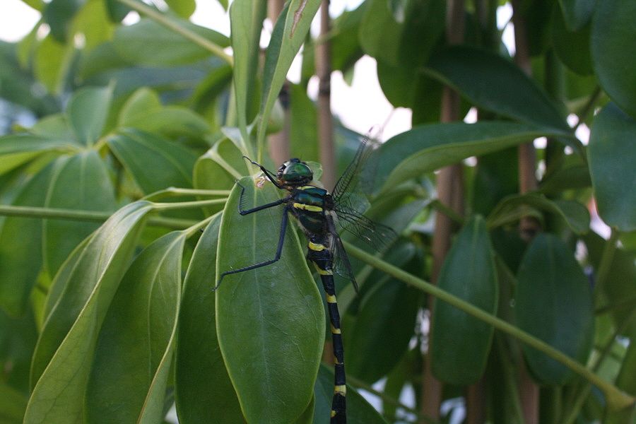 �ٹ̱�_��������ȸ 2532.jpg