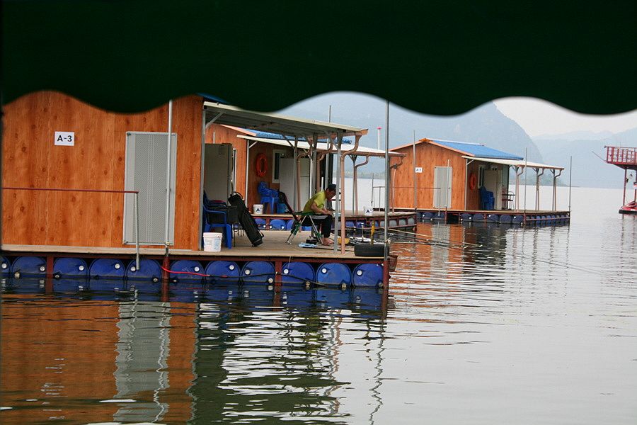 �ٹ̱�_��������ȸ 2545.jpg