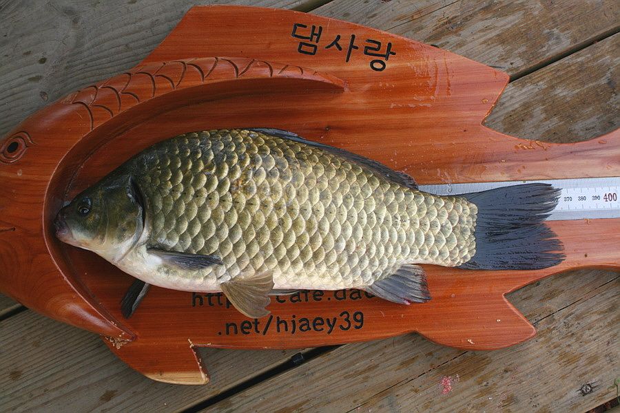 �ٹ̱�_��������ȸ 2553.jpg