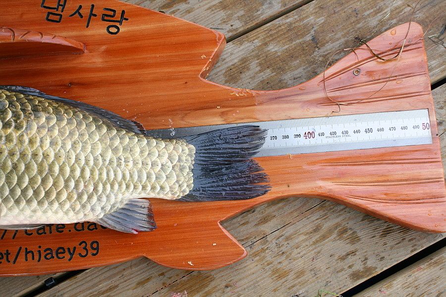 �ٹ̱�_��������ȸ 2556.jpg