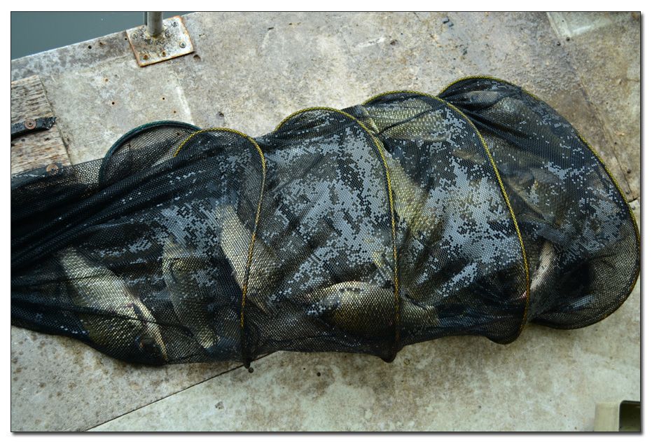 Untitled-1 copy 5.jpg