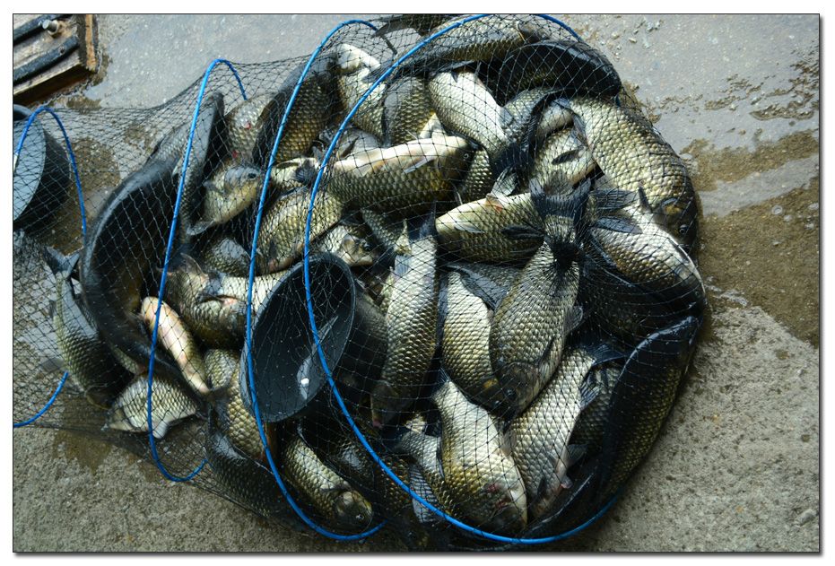 Untitled-1 copy 7.jpg