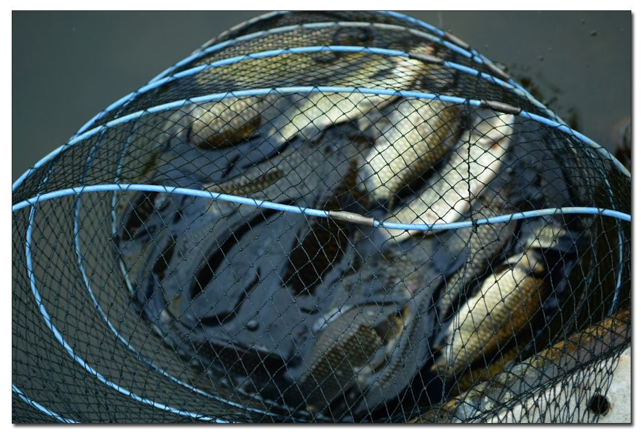 Untitled-1 copy 10.jpg