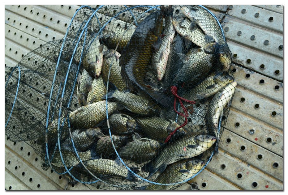 Untitled-1 copy 8.jpg