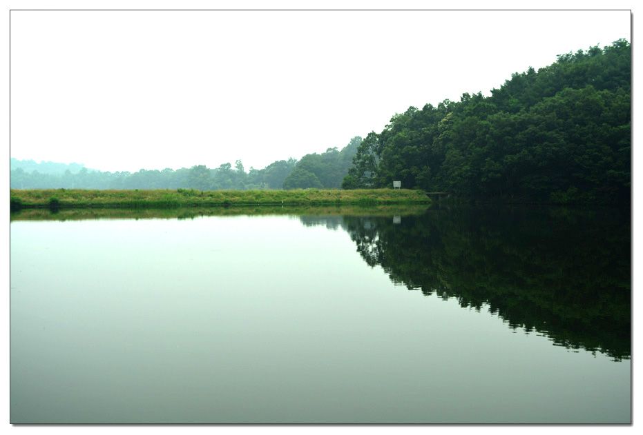 Untitled-1 copy 11.jpg