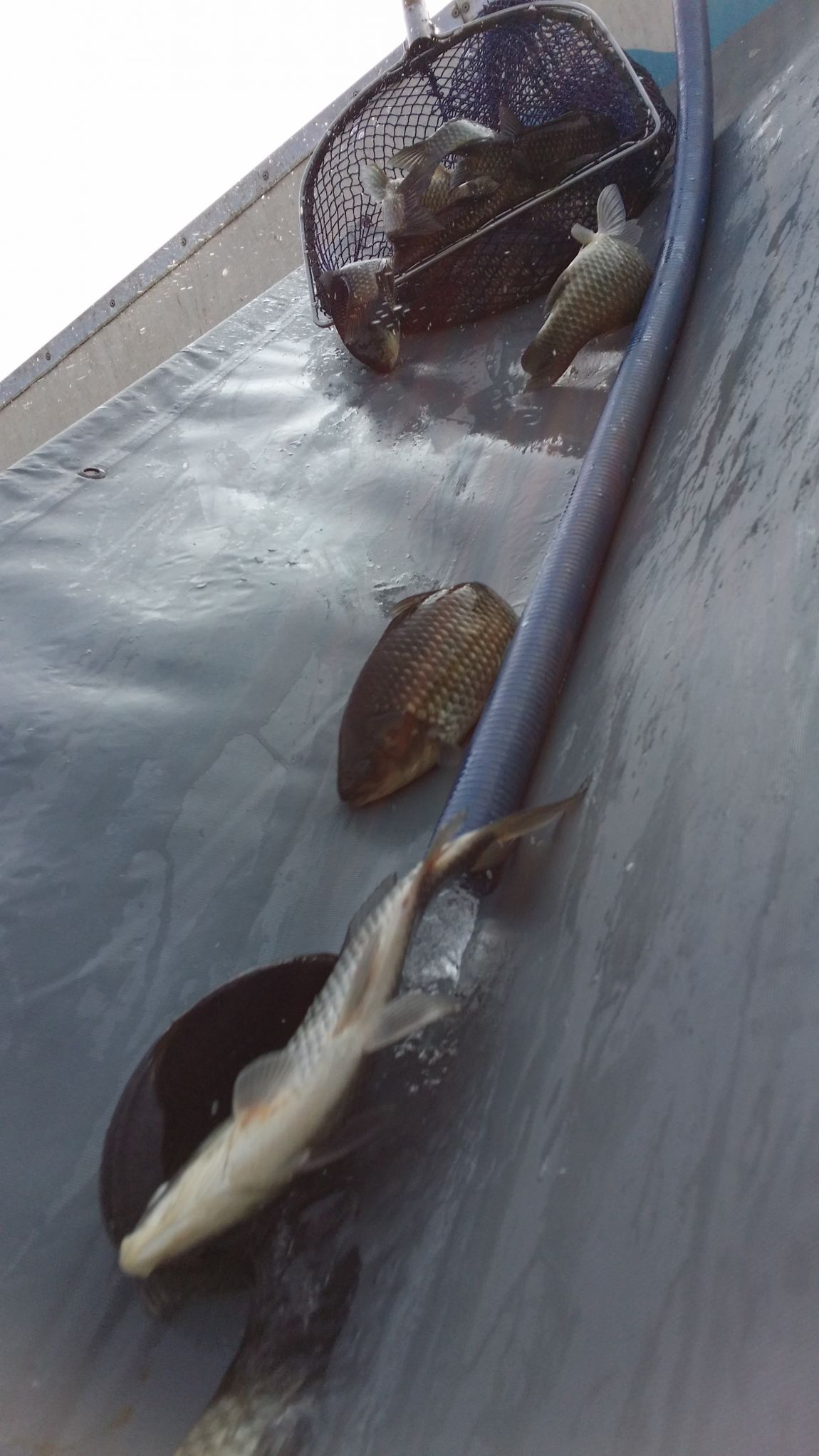 20140614_163941.jpg