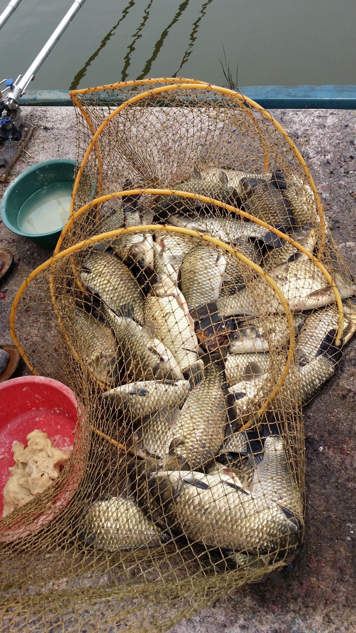20140616_112854.jpg
