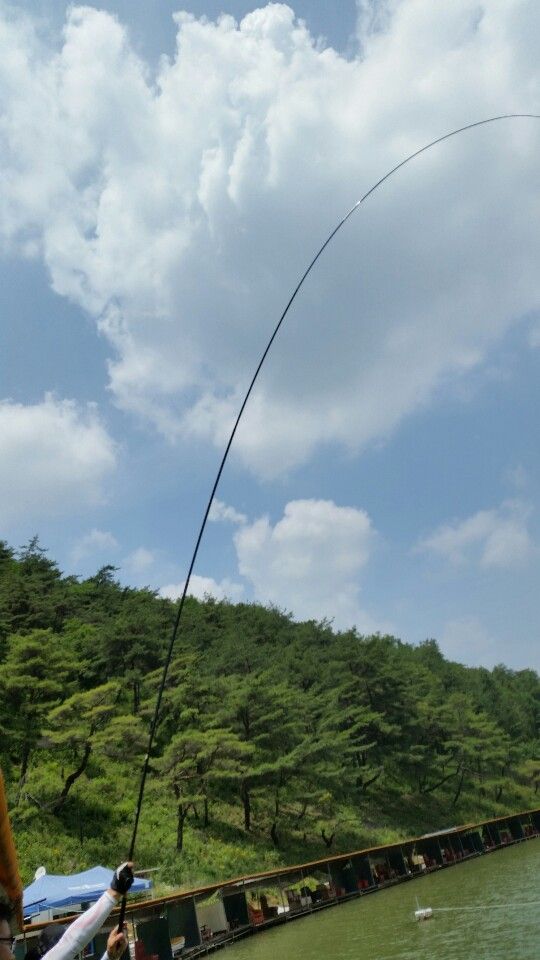 1402981855507.jpeg