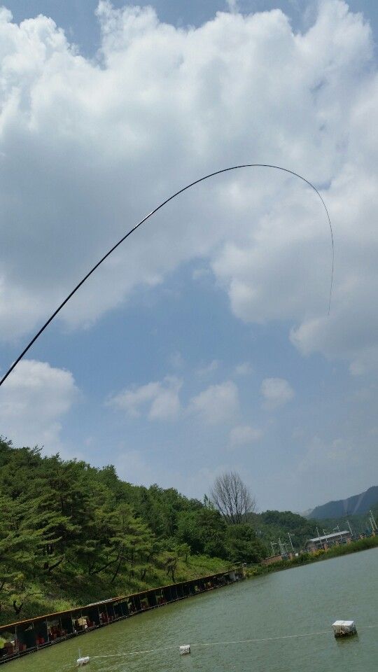 1402981857142.jpeg