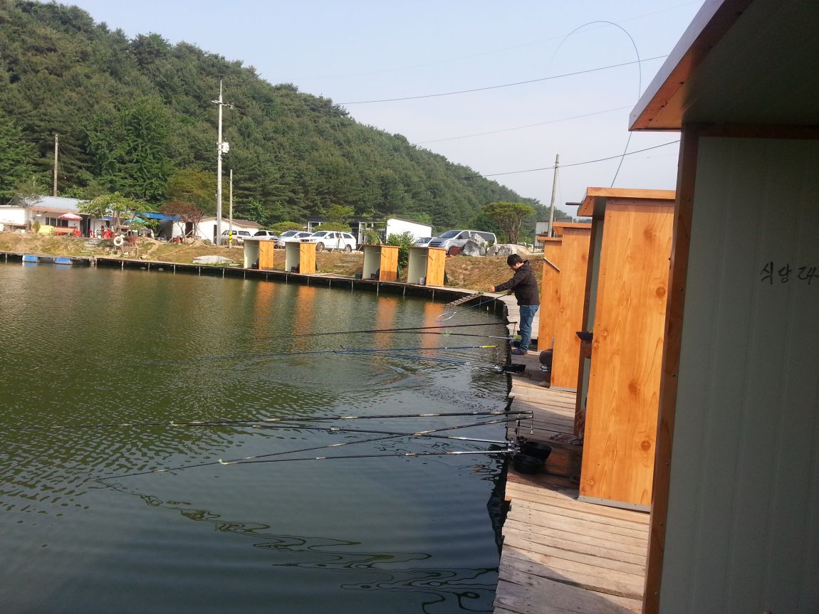 20140615_082231.jpg